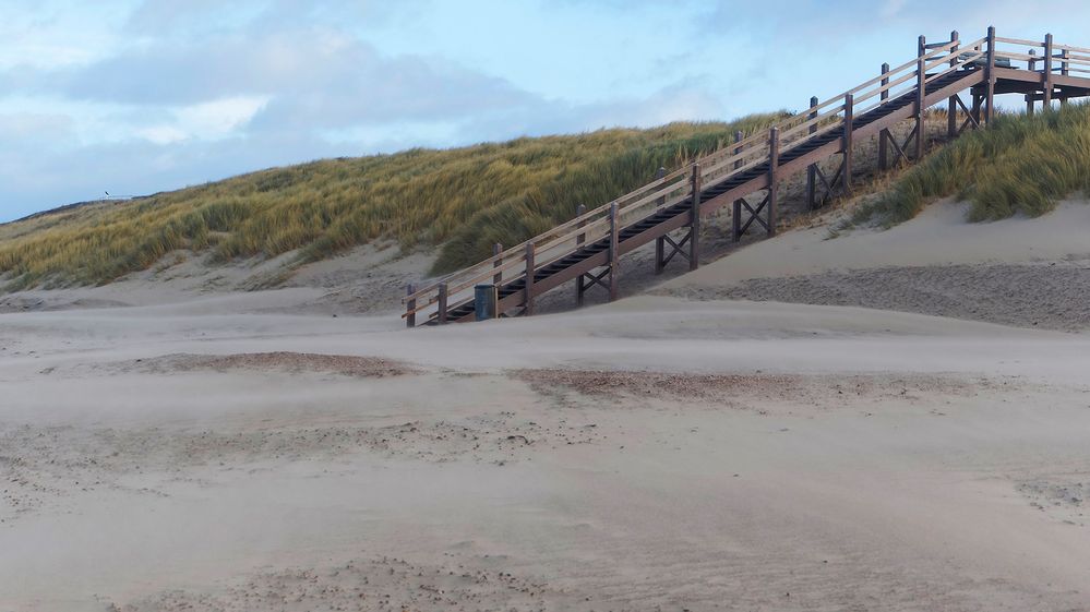 Stairway to Heaven - Dünenlandschaft bei Domburg, Provinz Zeeland (NL)