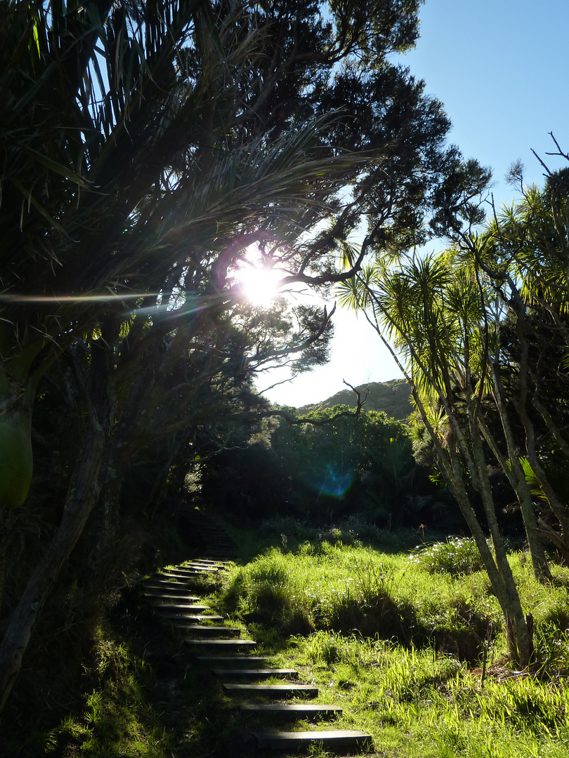 Stairway to Heaven | East Cape