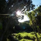 Stairway to Heaven | East Cape