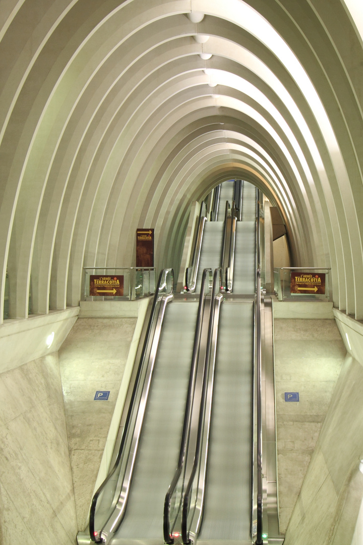 Stairway to heaven - Gare de Guillemins Lüttich