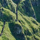 Stairway to heaven...? Giant Causeway Coastal Path