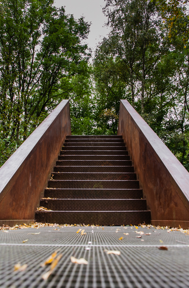 stairway to heaven - Naturpark Schöneberger Südgelände