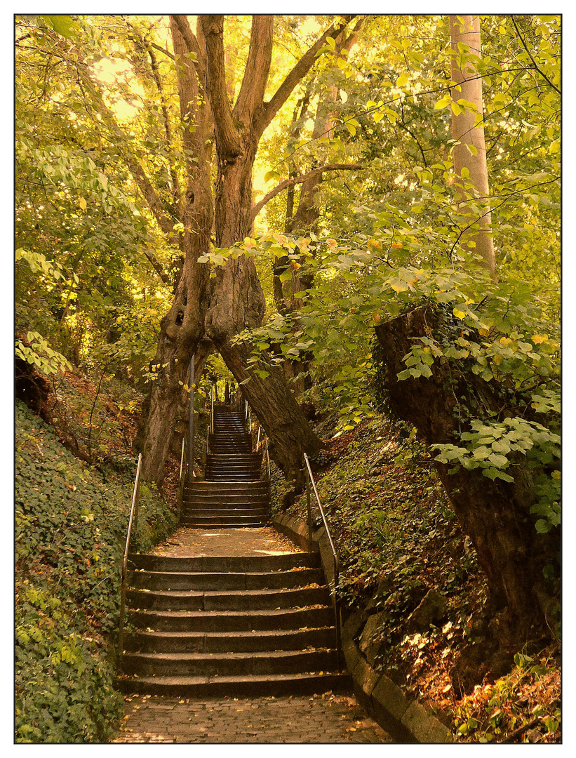 Stairway to ... "Käppele"