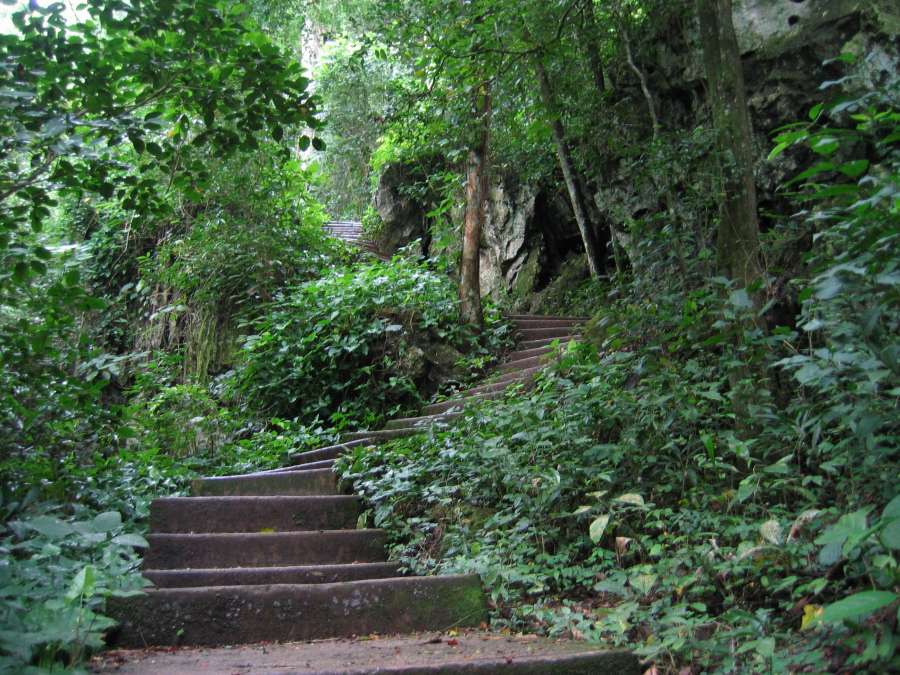 Stairway to nature