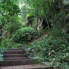 Stairway to nature