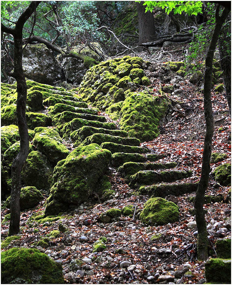 Stairway to nowhere