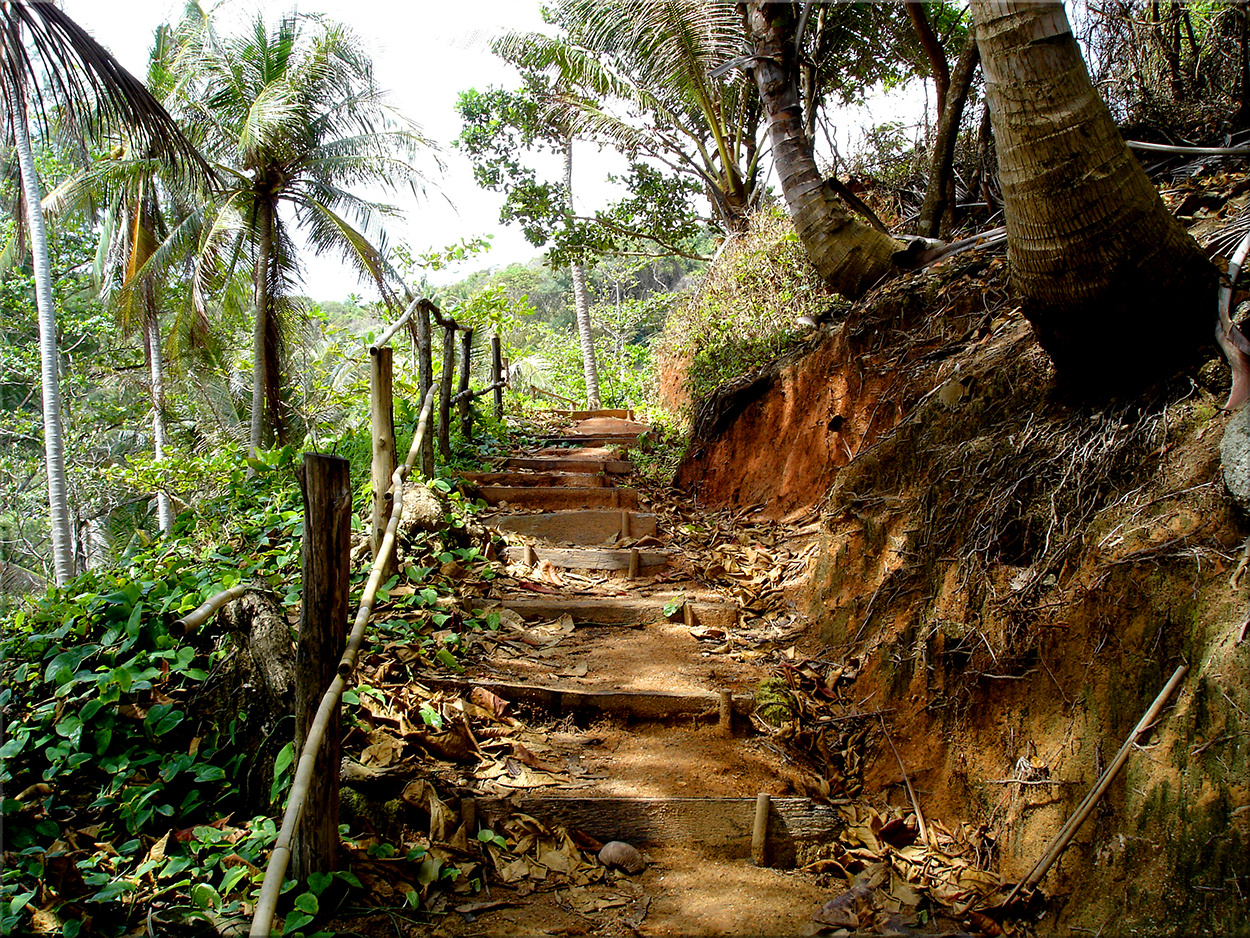 Stairway To Paradise