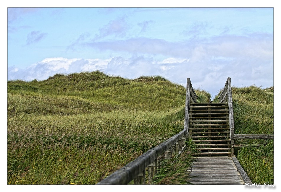 Stairway to the beach