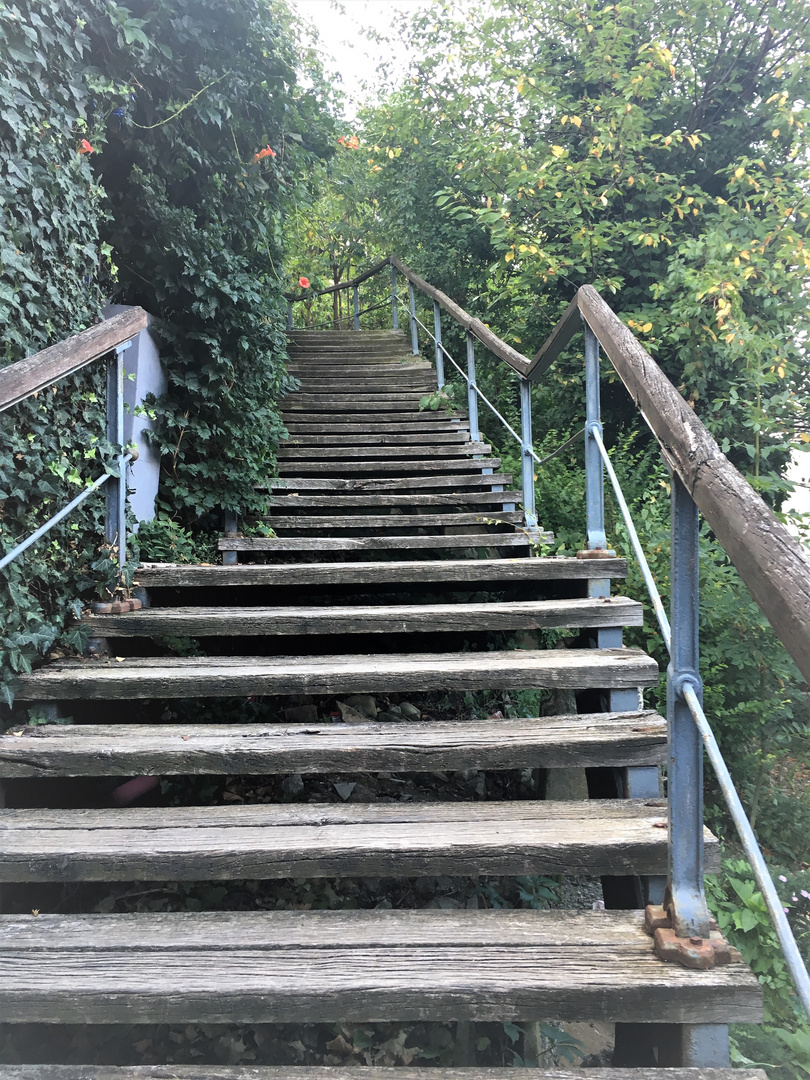 Stairways into Parc Eden