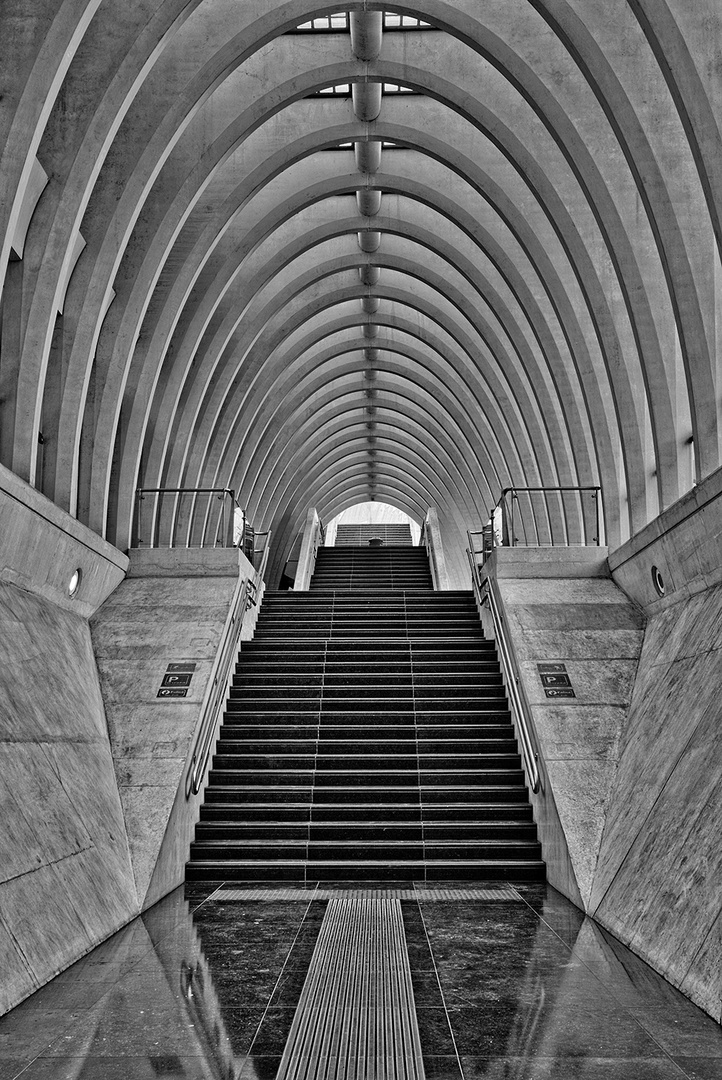 Stairways to heaven ... (Liège)