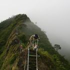 Stairways to heaven on Oahu