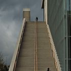 Stairway_to_Clouded_Heaven_THF_20170123_121849