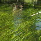 Stakenbootfahrt auf der Krutynia Masuren