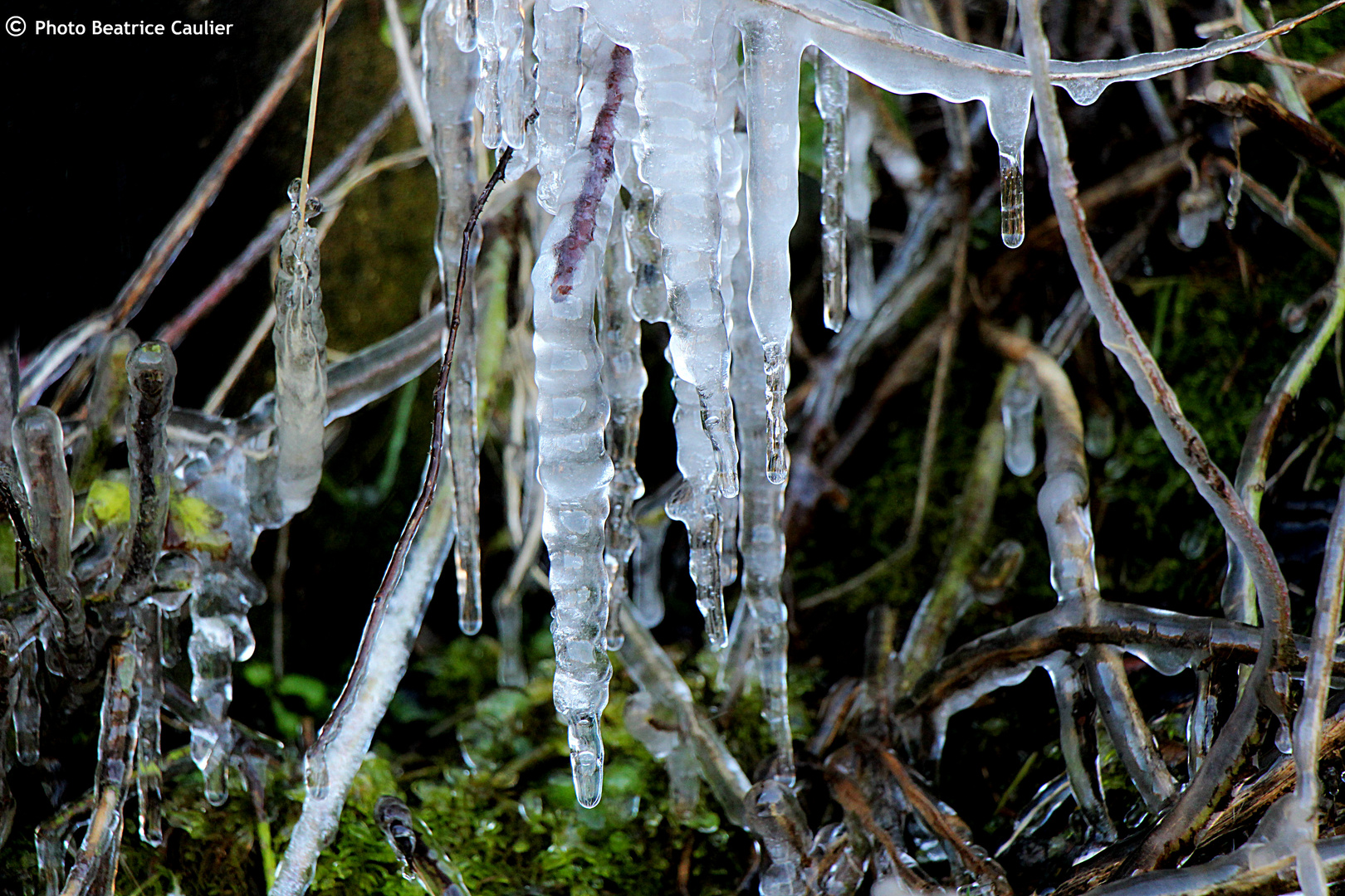 Stalactite