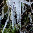 Stalactite