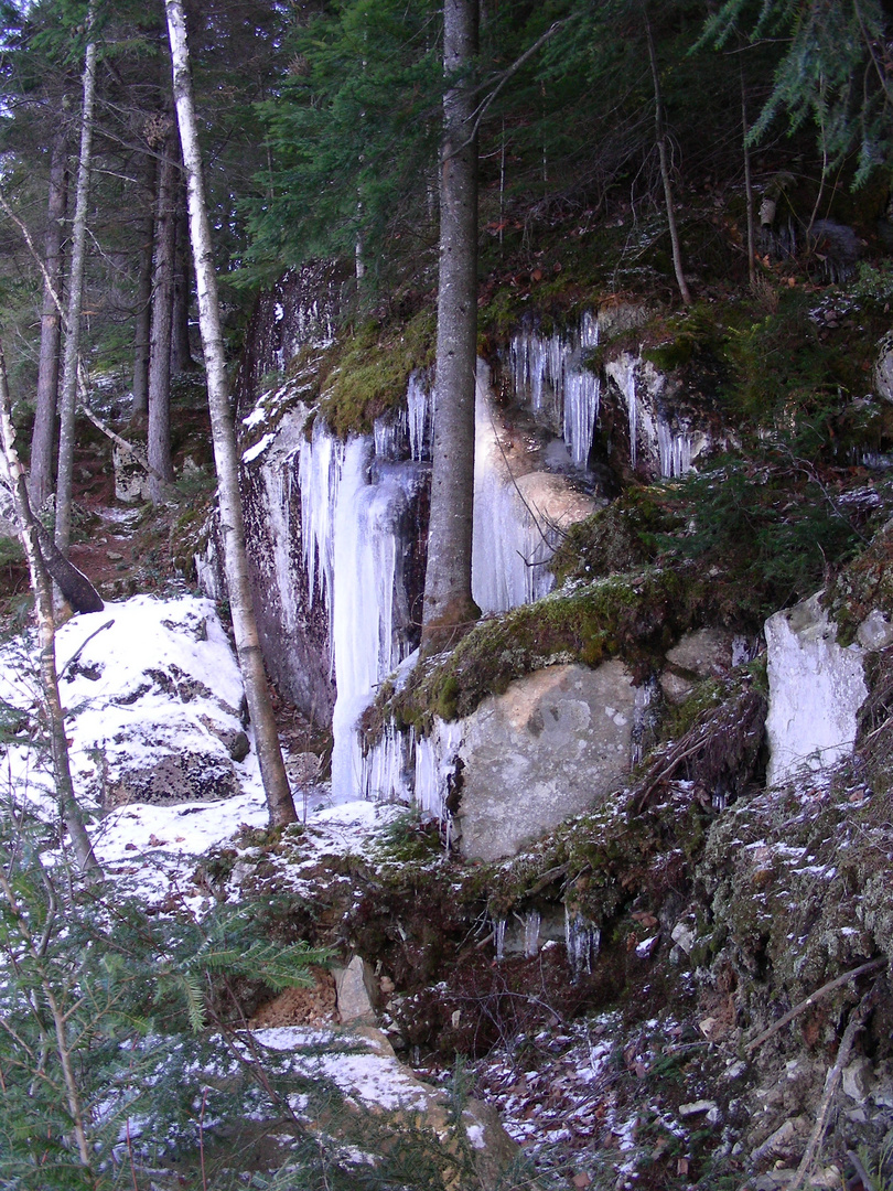 Stalactites dans les bois