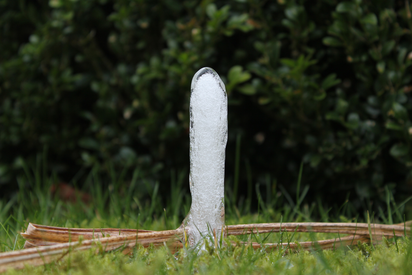 Stalagmit auf dem Rasen