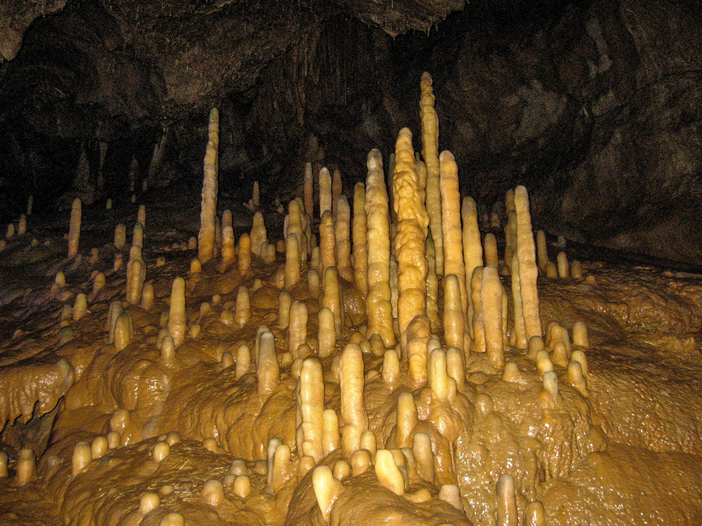 Stalagmiten