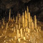 Stalagmiten