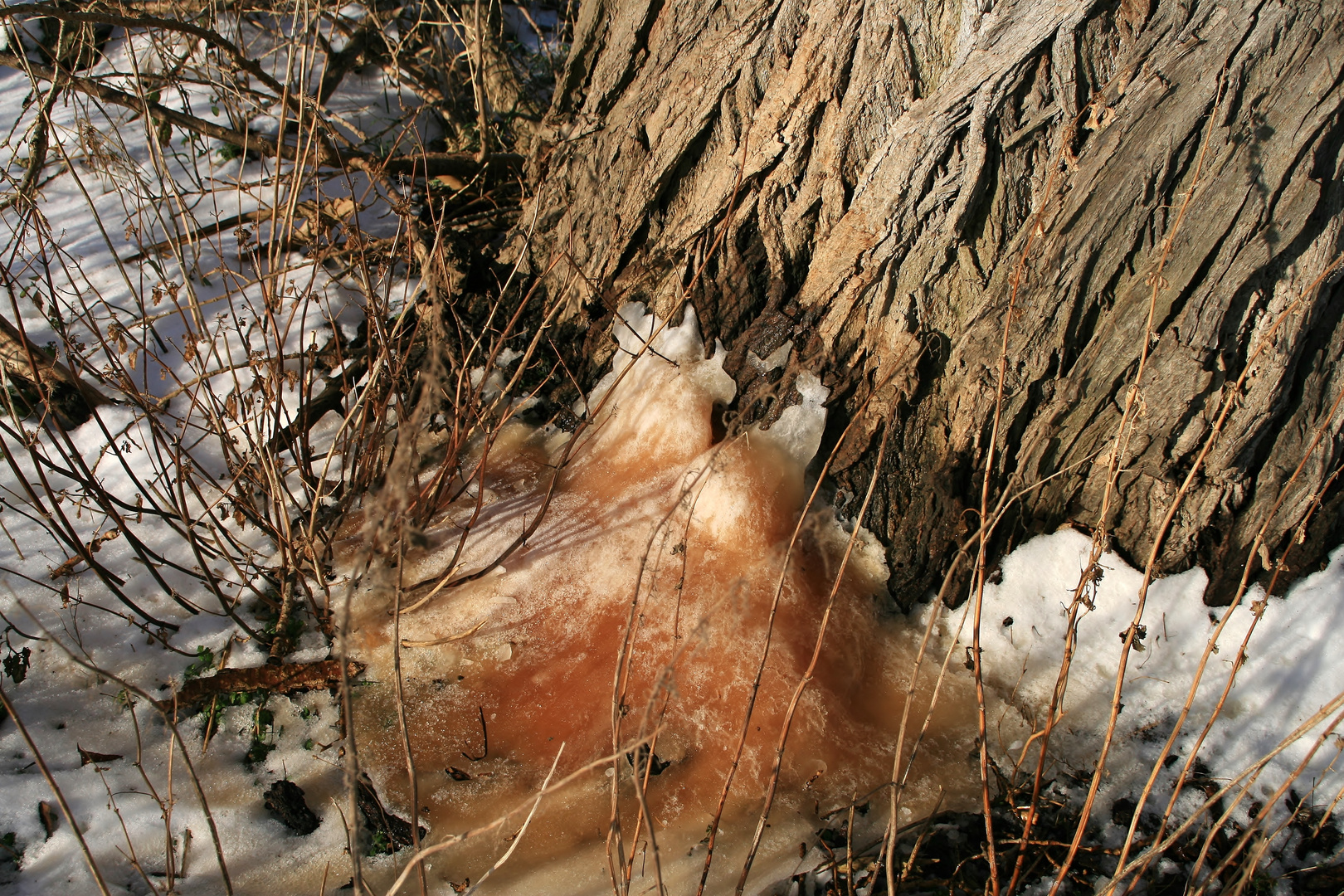 Stalagmiten aus Eis