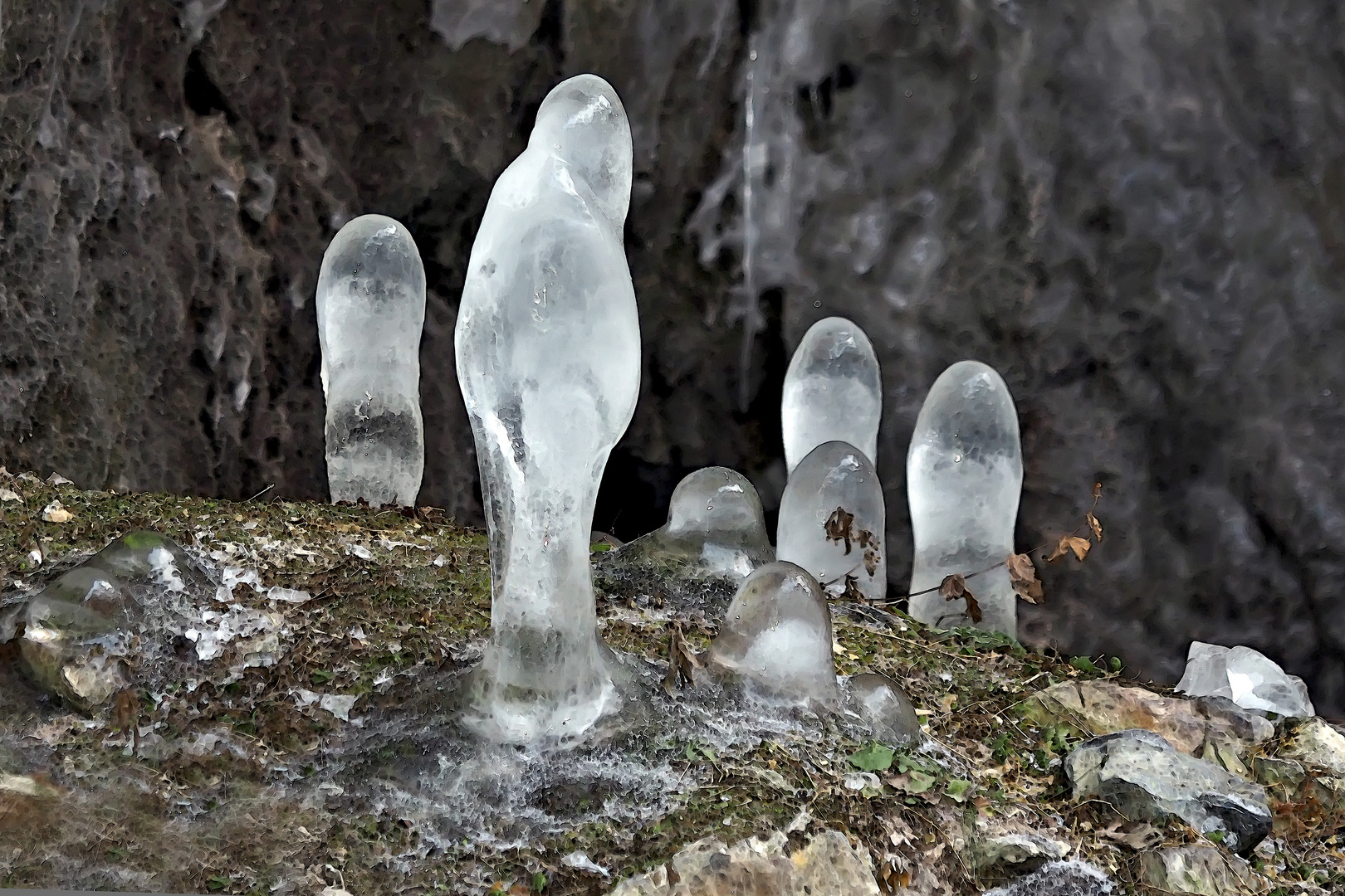 Stalagmiten-Familienfoto. - Toute la famille est rassemblée!