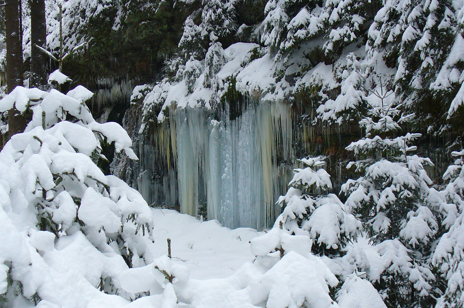 Stalaktiten im Wald