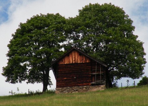 Stall auf der Obberrütti