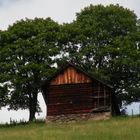 Stall auf der Obberrütti