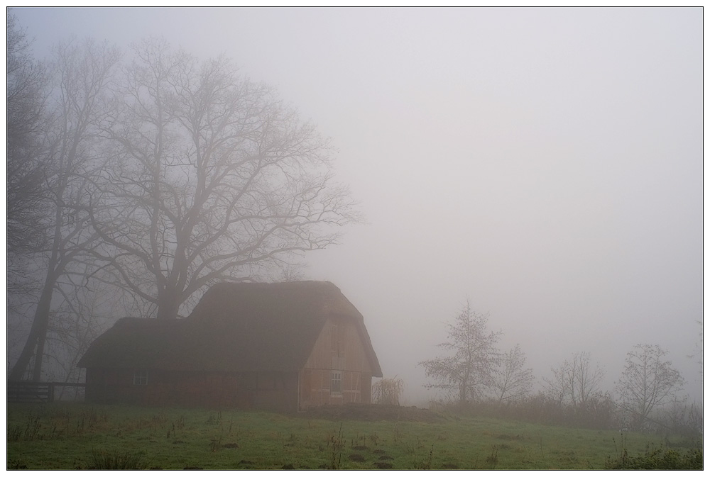 Stall im Nebel