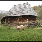 Stall im Weintal - Val Viner