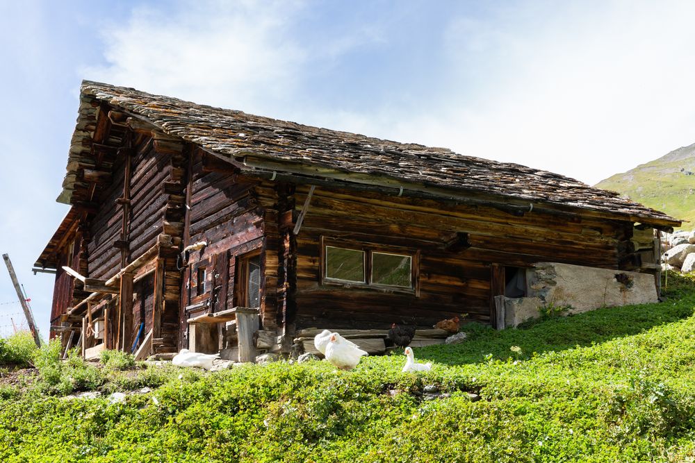 Stall in Juf (2126 m.ü.M.), der höchsten ganzjährig bewohnten Siedlung in Europa