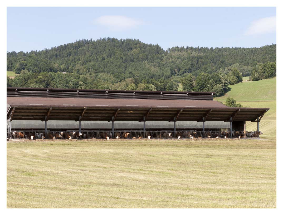 Stall mit Ausblick