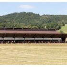 Stall mit Ausblick