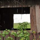 Stall mit Durchblick