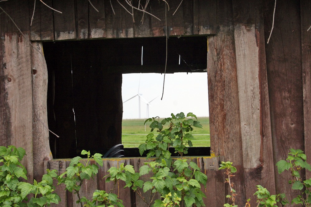 Stall mit Durchblick