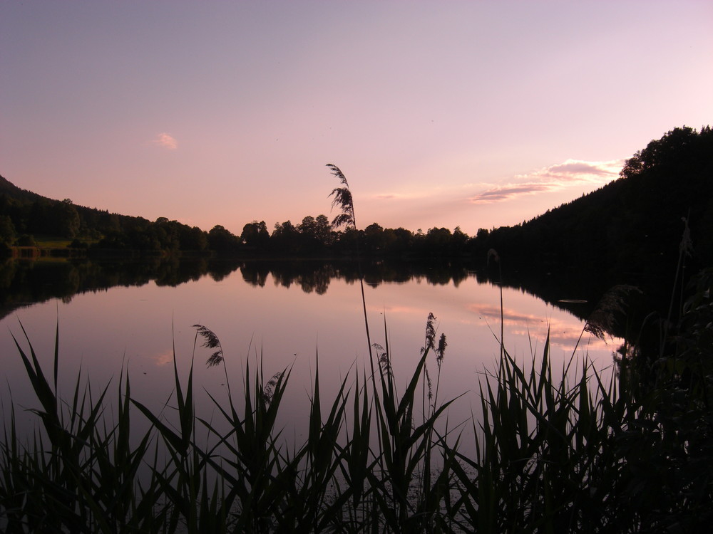 Stallauer Weiher bei Bad Tölz