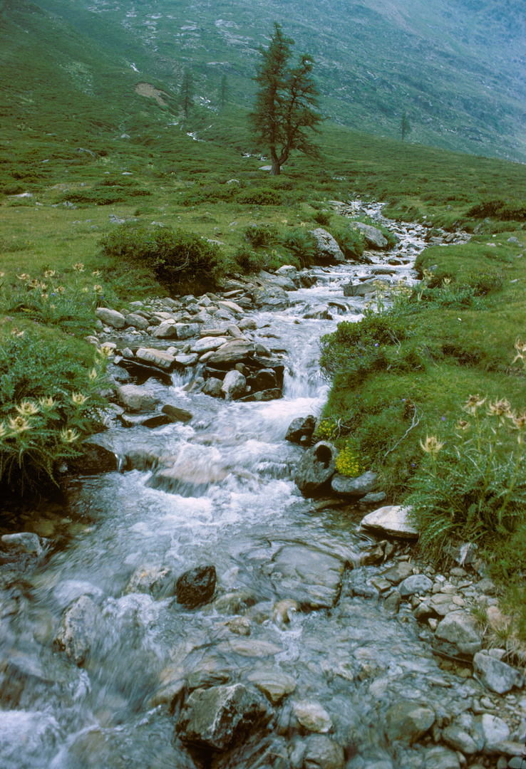 Stallersattel Osttirol, 1976