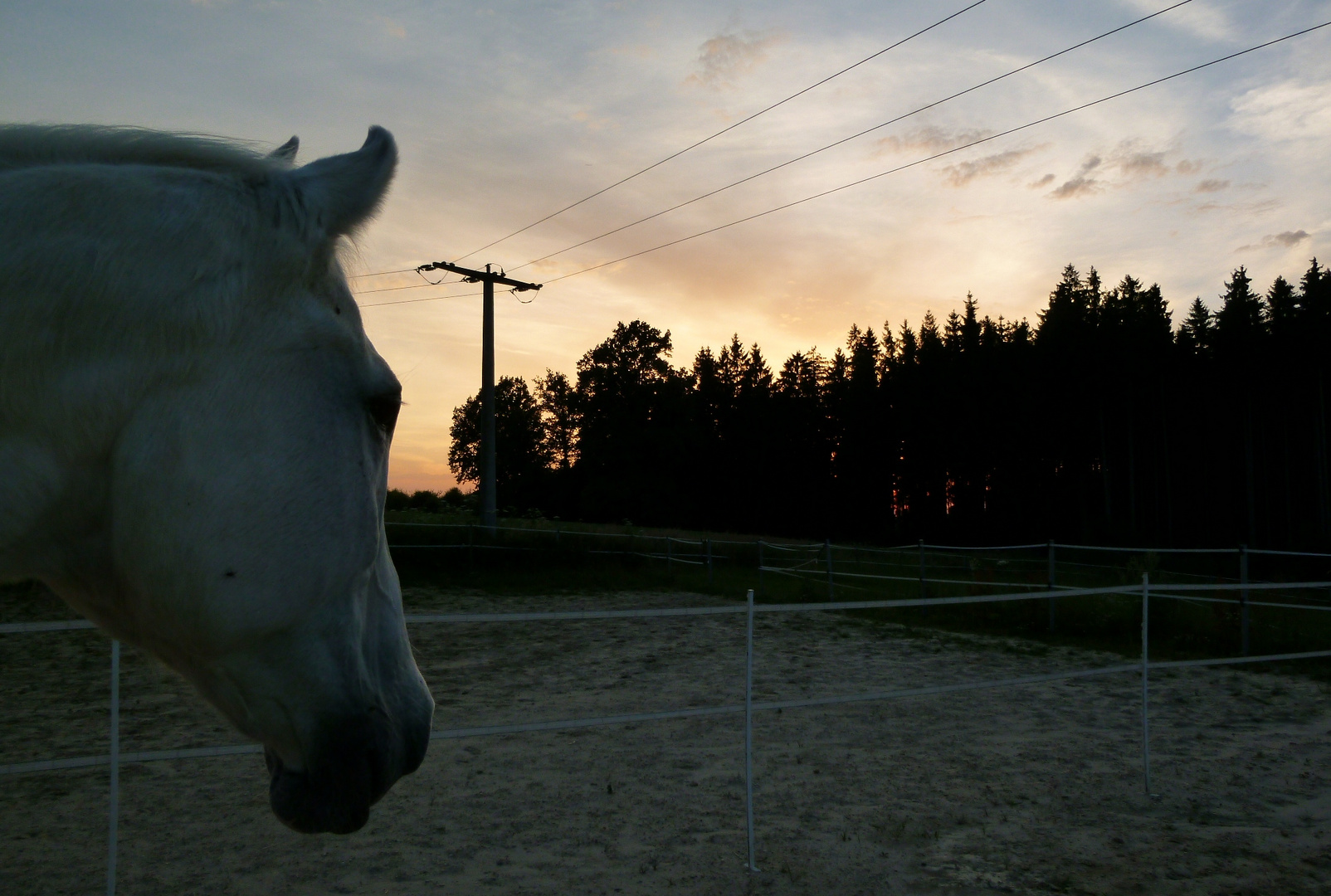 Stallruhe - Abendstimmung