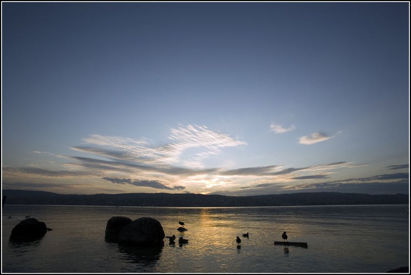 Stamattina al lago