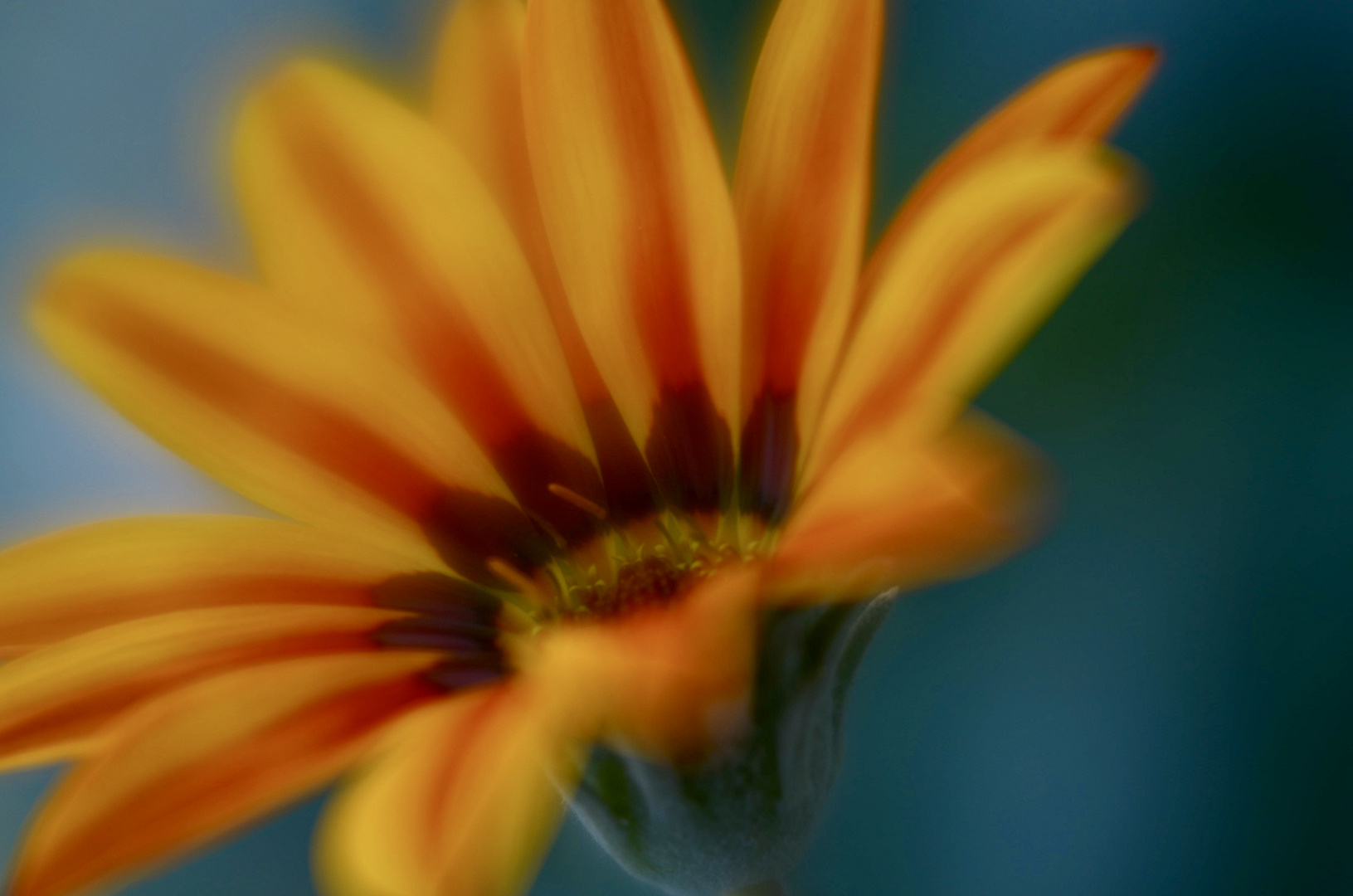 Stamen Focus