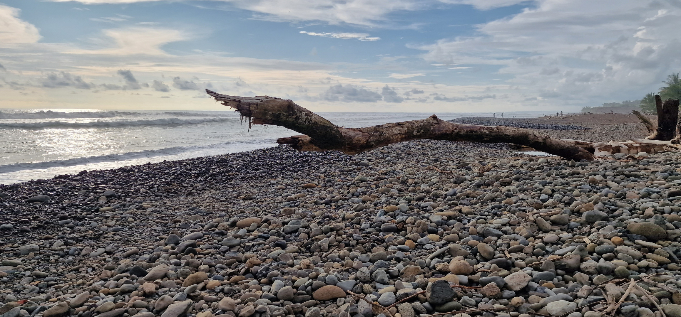 Stamm am Strand