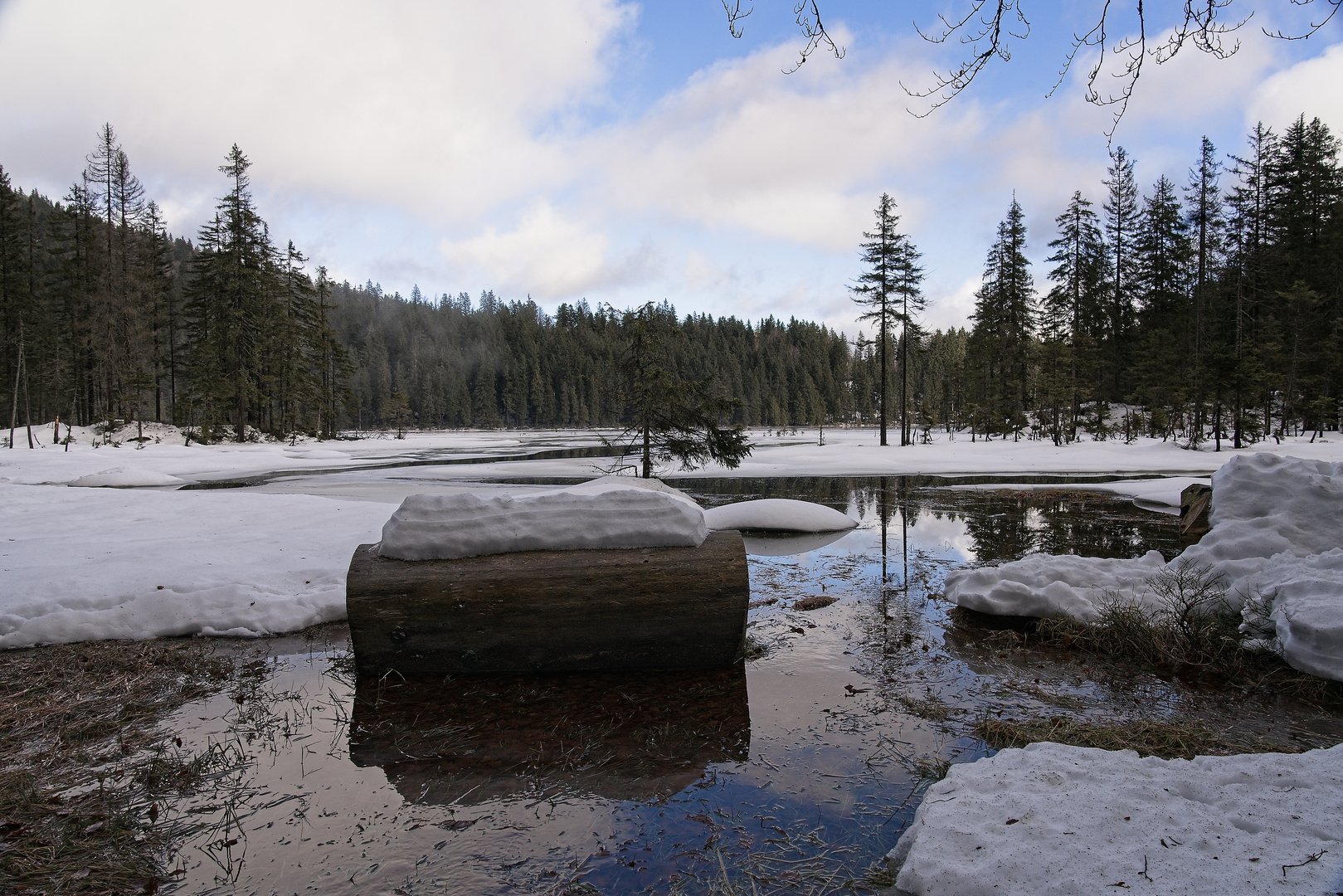 Stamm mit Sahnehäubchen Foto &amp; Bild | world, winter, schnee Bilder auf ...