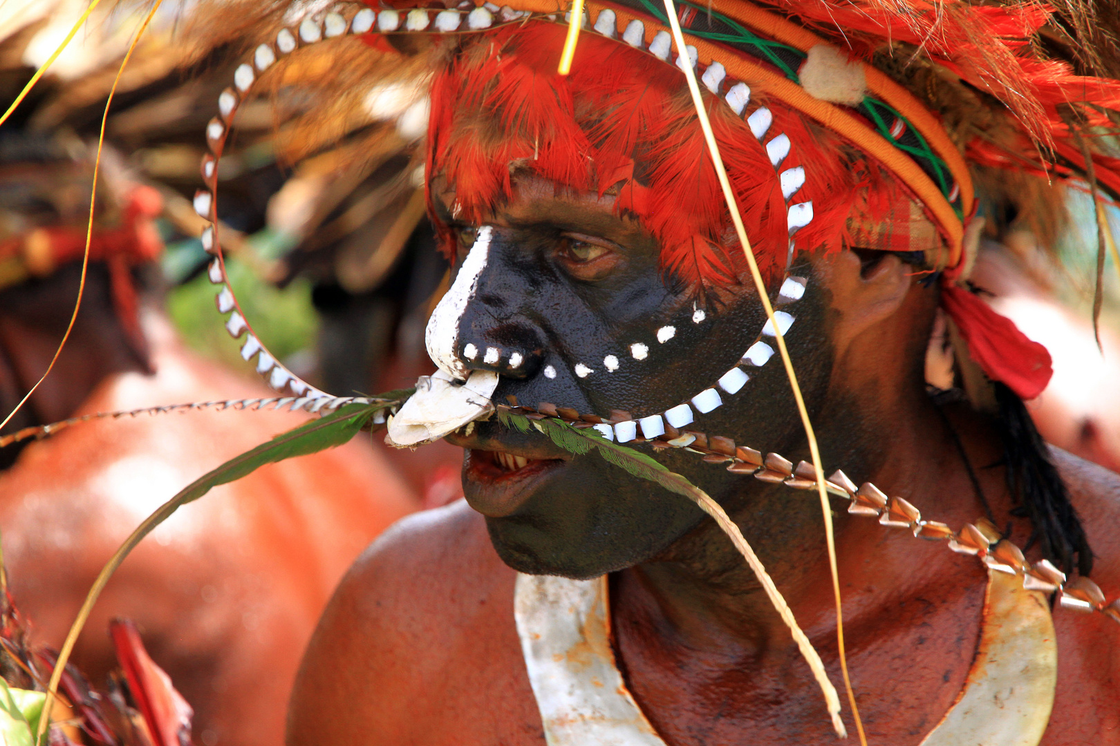 Stammeskrieger, Goroka, Papua Neuguinea