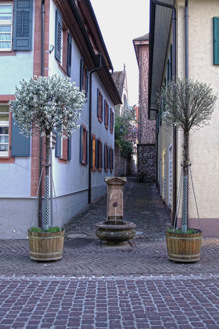 Stammgässle in Ettenheim