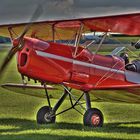 Stampe D-ERLA