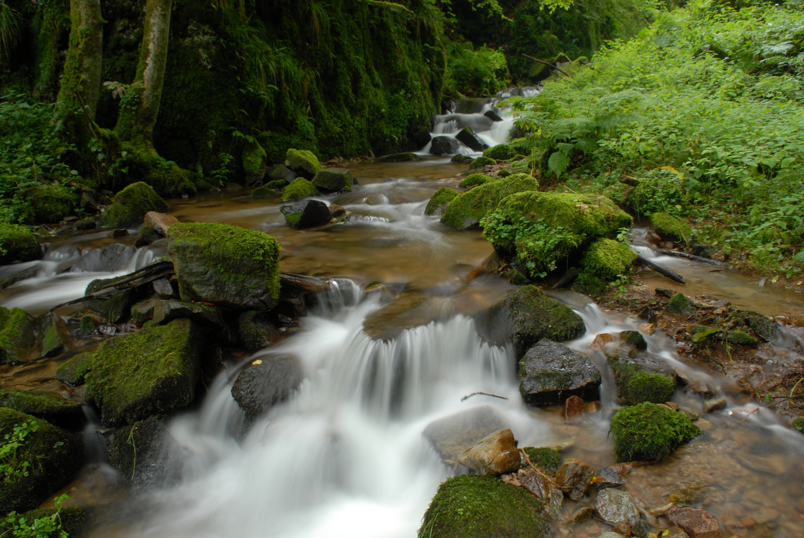 Stampfbachwaserfall im Münstertal (Schwarzwald)