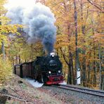 stampfend durch den Herbstwald.