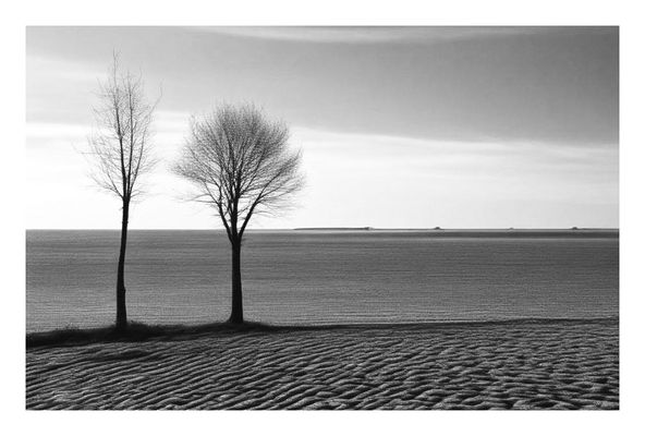 Stan Laurel & Oliver Hardy