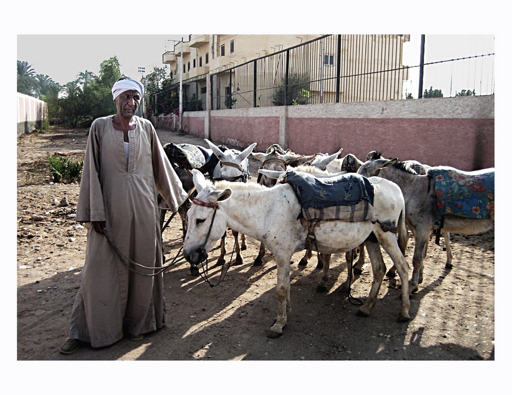 ..stanchezza.. (gente di luxor#3)