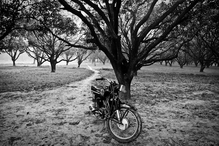 Stand Alone, (India)